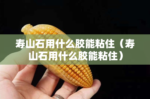 寿山石用什么胶能粘住（寿山石用什么胶能粘住）