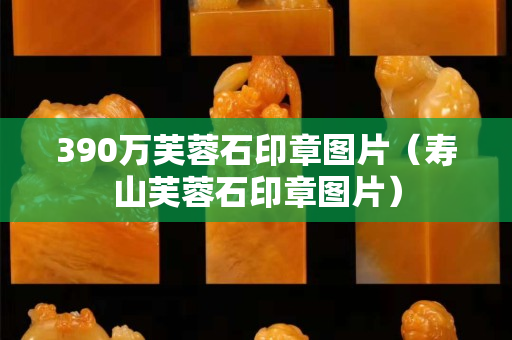 390万芙蓉石印章图片（寿山芙蓉石印章图片）
