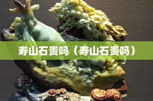 寿山石贵吗（寿山石贵吗）