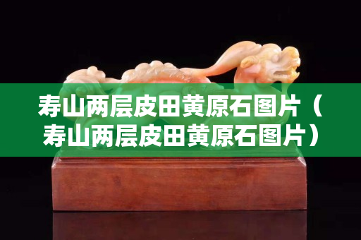 寿山两层皮田黄原石图片（寿山两层皮田黄原石图片）