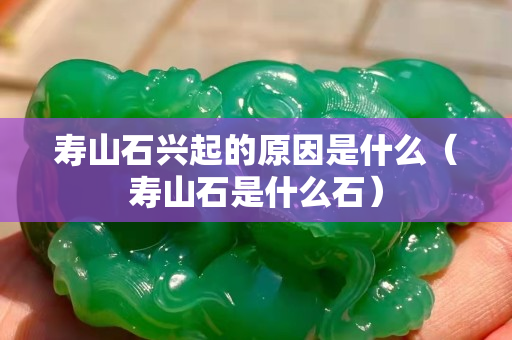 寿山石兴起的原因是什么（寿山石是什么石）