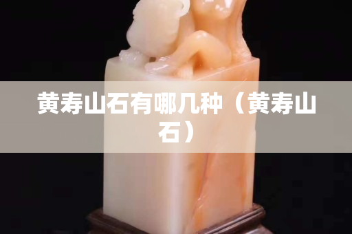 黄寿山石有哪几种（黄寿山石）