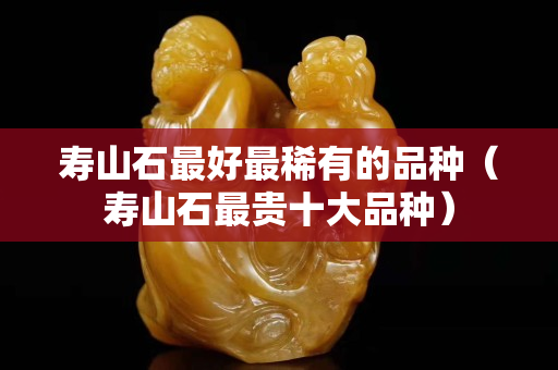 寿山石最好最稀有的品种（寿山石最贵十大品种）