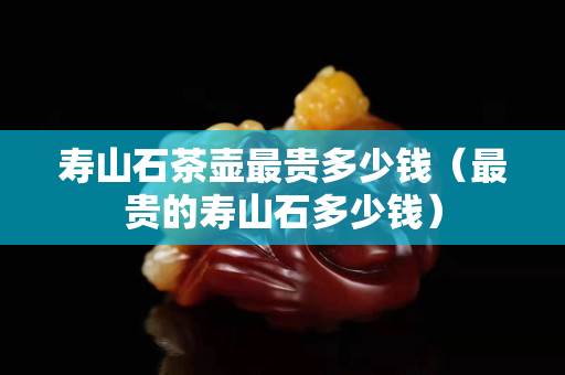 寿山石茶壶最贵多少钱（最贵的寿山石多少钱）