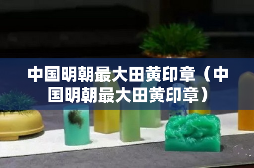 中国明朝最大田黄印章（中国明朝最大田黄印章）