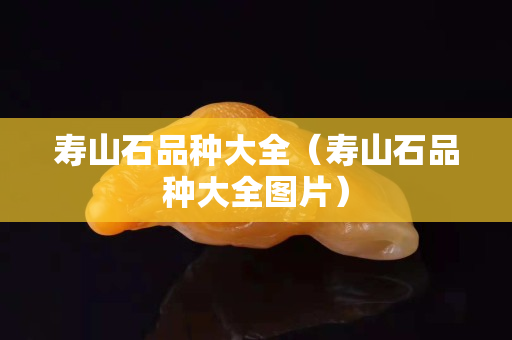 寿山石品种大全（寿山石品种大全图片）