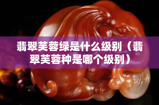 翡翠芙蓉绿是什么级别（翡翠芙蓉种是哪个级别）