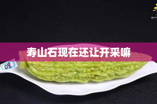 寿山石现在还让开采嘛