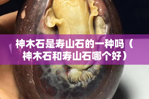 神木石是寿山石的一种吗（神木石和寿山石哪个好）