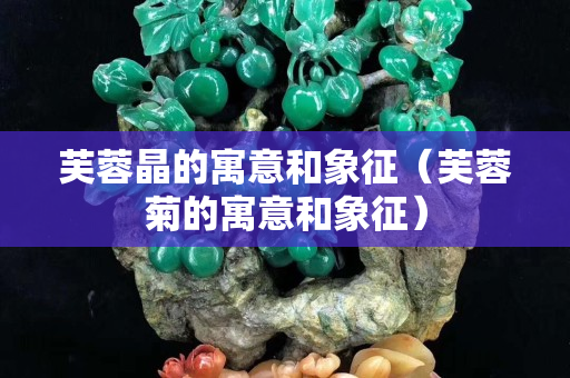 芙蓉晶的寓意和象征（芙蓉菊的寓意和象征）