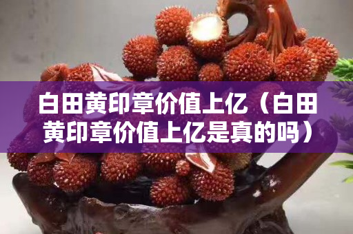 白田黄印章价值上亿（白田黄印章价值上亿是真的吗）