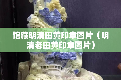 馆藏明清田黄印章图片（明清老田黄印章图片）