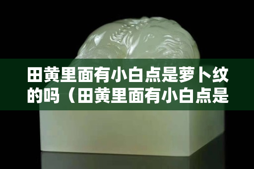 田黄里面有小白点是萝卜纹的吗（田黄里面有小白点是萝卜纹的吗）