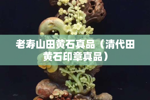 老寿山田黄石真品（清代田黄石印章真品）