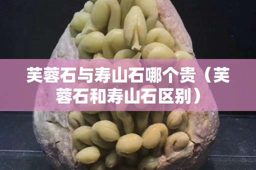 芙蓉石与寿山石哪个贵（芙蓉石和寿山石区别）