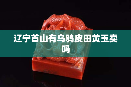 辽宁首山有乌鸦皮田黄玉卖吗