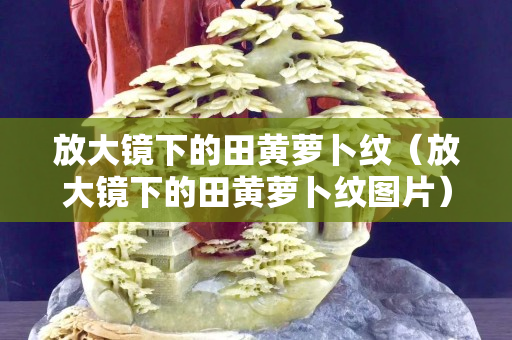 放大镜下的田黄萝卜纹（放大镜下的田黄萝卜纹图片）