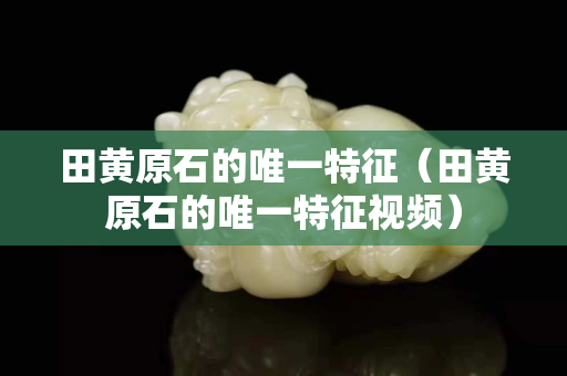 田黄原石的唯一特征（田黄原石的唯一特征视频）