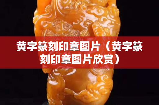 黄字篆刻印章图片（黄字篆刻印章图片欣赏）