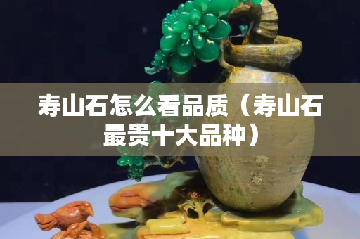 寿山石怎么看品质（寿山石最贵十大品种）
