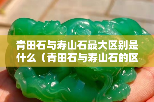 青田石与寿山石最大区别是什么（青田石与寿山石的区别）