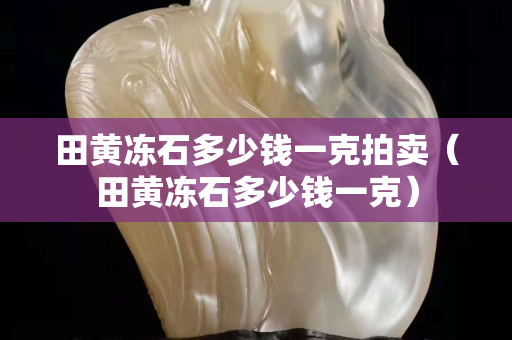 田黄冻石多少钱一克拍卖（田黄冻石多少钱一克）