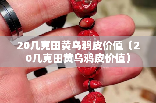 20几克田黄乌鸦皮价值（20几克田黄乌鸦皮价值）