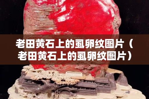 老田黄石上的虱卵纹图片（老田黄石上的虱卵纹图片）