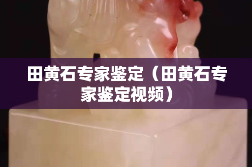 田黄石专家鉴定（田黄石专家鉴定视频）