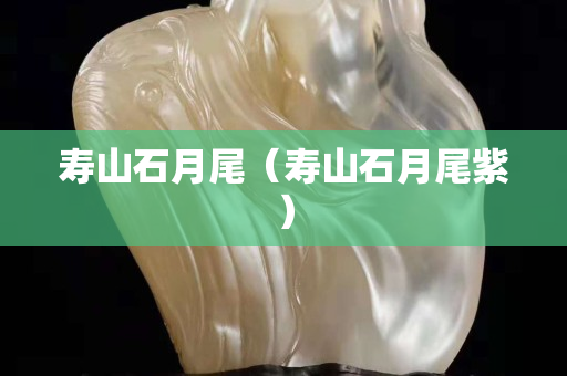 寿山石月尾（寿山石月尾紫）