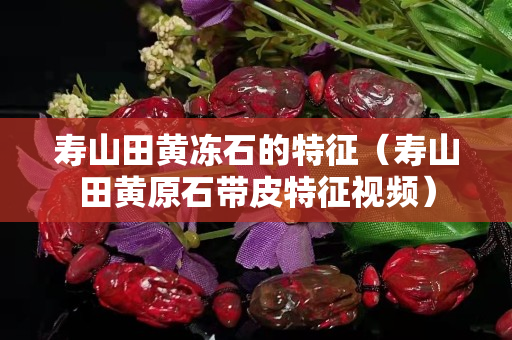 寿山田黄冻石的特征（寿山田黄原石带皮特征视频）