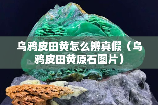 乌鸦皮田黄怎么辨真假（乌鸦皮田黄原石图片）