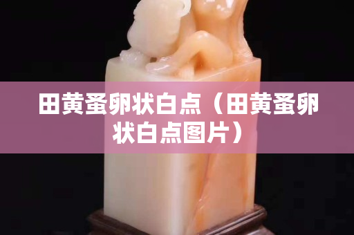 田黄蚤卵状白点（田黄蚤卵状白点图片）