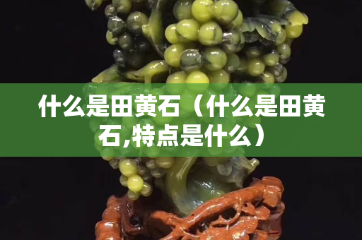 什么是田黄石（什么是田黄石,特点是什么）