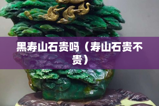 黑寿山石贵吗（寿山石贵不贵）