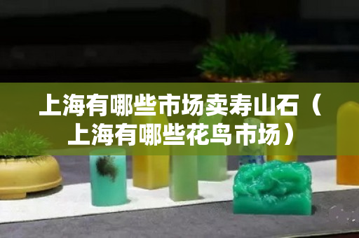 上海有哪些市场卖寿山石（上海有哪些花鸟市场）