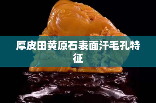 厚皮田黄原石表面汗毛孔特征