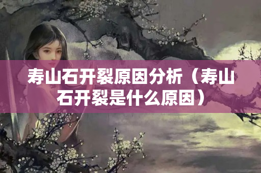 寿山石开裂原因分析（寿山石开裂是什么原因）