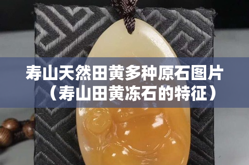 寿山天然田黄多种原石图片（寿山田黄冻石的特征）