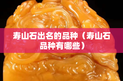 寿山石出名的品种（寿山石品种有哪些）
