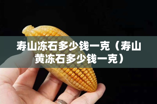 寿山冻石多少钱一克（寿山黄冻石多少钱一克）