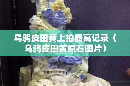 乌鸦皮田黄上拍最高记录（乌鸦皮田黄原石图片）