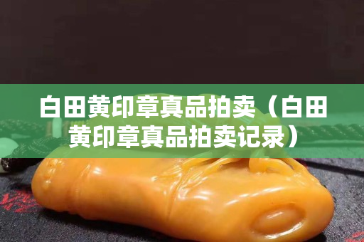 白田黄印章真品拍卖（白田黄印章真品拍卖记录）