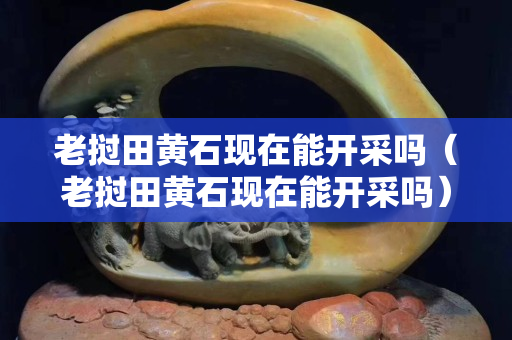 老挝田黄石现在能开采吗（老挝田黄石现在能开采吗）
