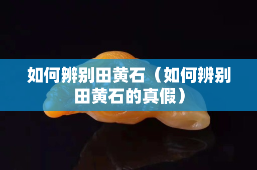 如何辨别田黄石（如何辨别田黄石的真假）