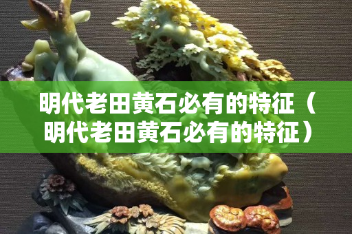 明代老田黄石必有的特征（明代老田黄石必有的特征）