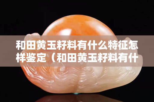 和田黄玉籽料有什么特征怎样鉴定（和田黄玉籽料有什么特征怎样鉴定）
