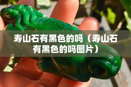 寿山石有黑色的吗（寿山石有黑色的吗图片）