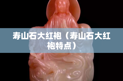 寿山石大红袍（寿山石大红袍特点）