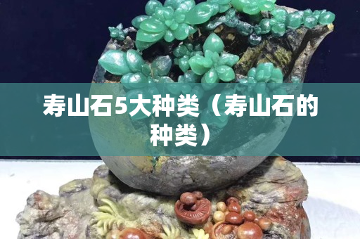寿山石5大种类（寿山石的种类）